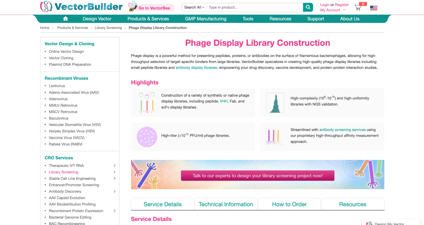 Phage Display Library Construction