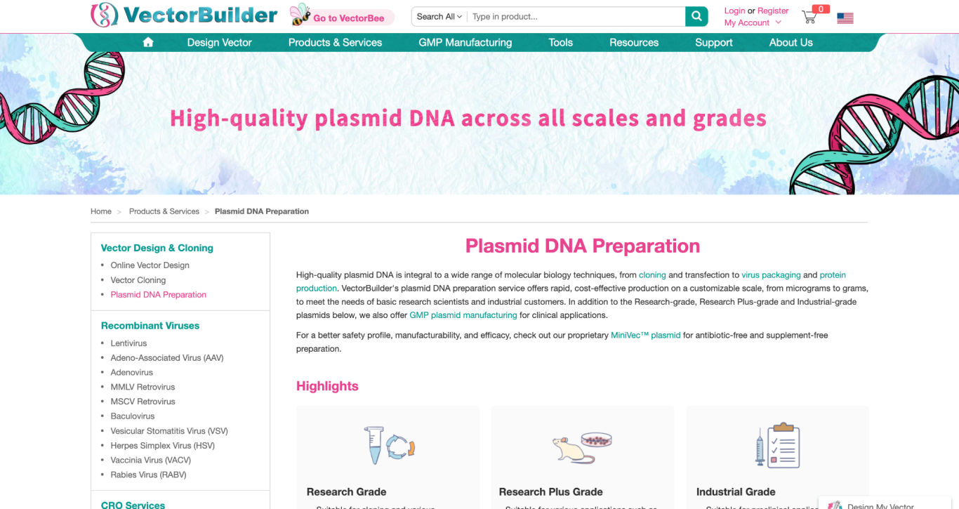 Plasmid DNA Preparation